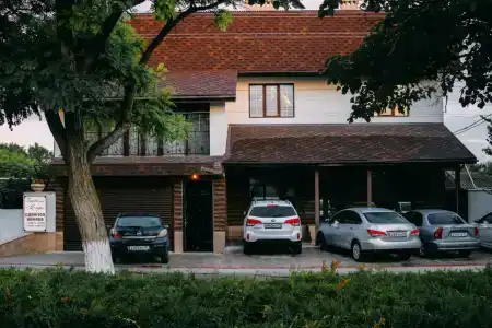 Флора - 12