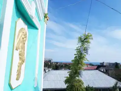 Green Palace - 19