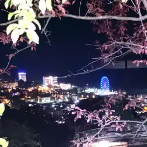 Гостевой дом на Сосновой 18 - 1