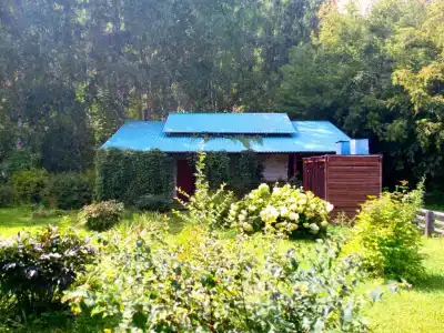 Родник - 1