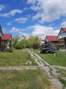 Горизонт - 1