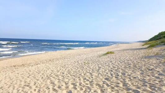 У охотника - 11