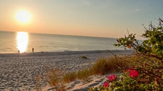 У охотника - 12