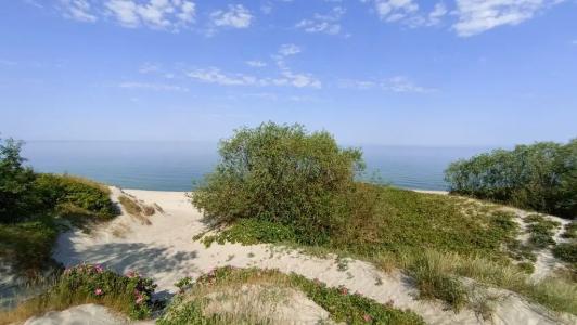 У охотника - 14