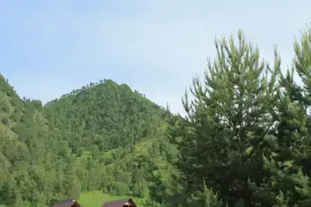 Чикмарёвых - 2