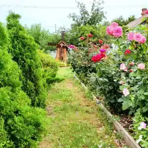 Загородный дом на Калинина, 321 - 36