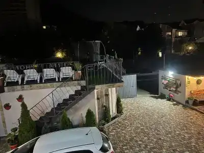 Фламинго - 9
