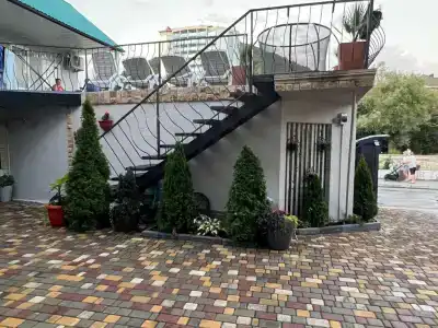 Фламинго - 12