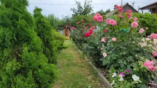 Загородный дом на Калинина, 321 - 66