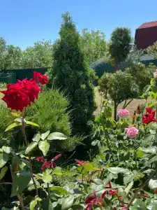 Загородный дом на Калинина, 321 - 91