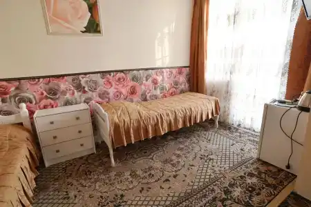 Мечта - 96