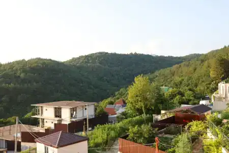Мечта - 143