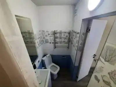 Мечта - 243