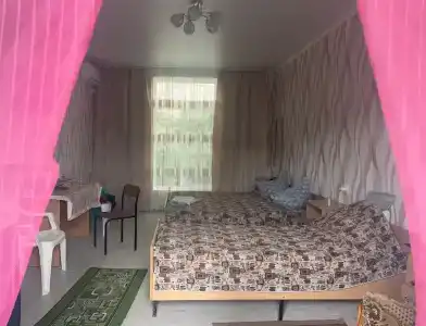 Цветущая роза - 2