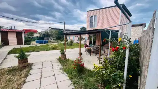 Цветущая роза - 0