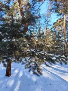Марков - 9