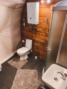 Веззика Кириково - 15