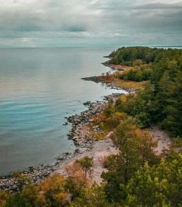 Веззика Кириково - 8