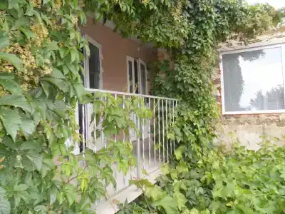 Цветущий дворик - 1