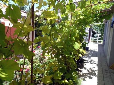 Цветущий дворик - 3