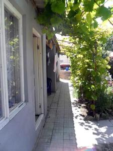 Цветущий дворик - 11