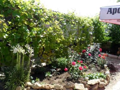 Цветущий дворик - 12