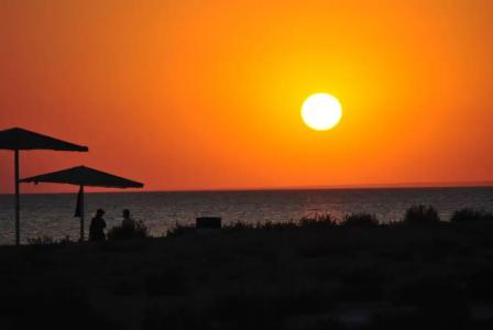 Цветущий дворик - 21