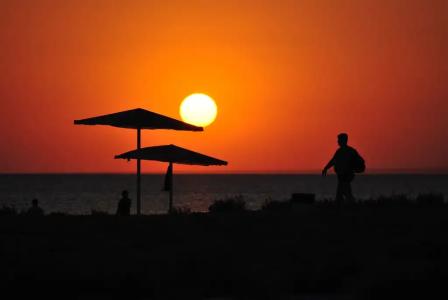 Цветущий дворик - 22