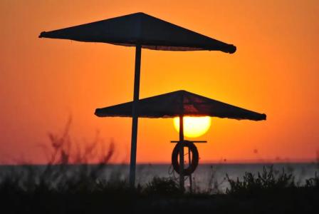 Цветущий дворик - 23