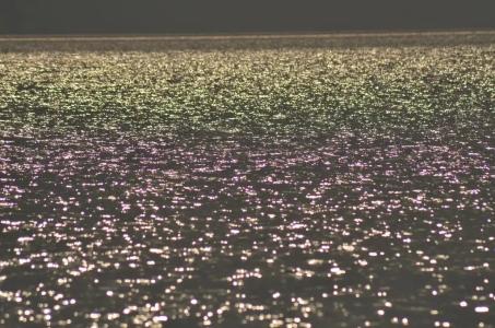 Цветущий дворик - 24