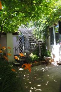 Цветущий дворик - 30