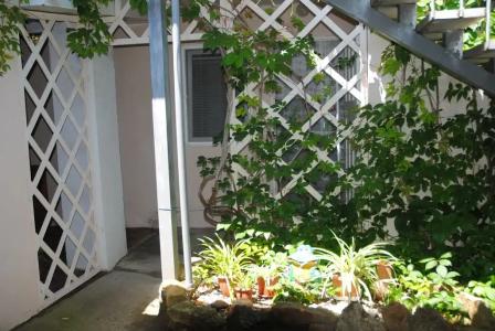 Цветущий дворик - 31