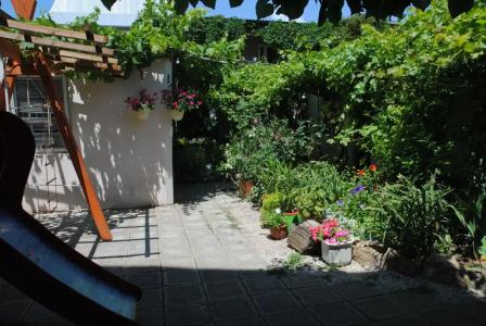 Цветущий дворик - 33