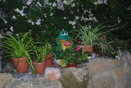 Цветущий дворик - 35