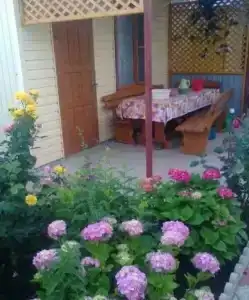 у Галины - 8