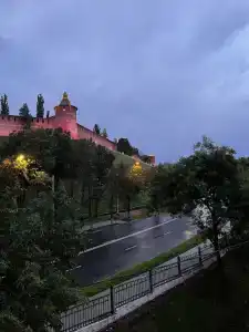 Золотой Клевер - 237