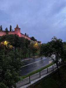 Золотой Клевер - 249