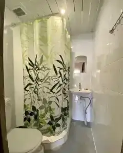 Роза Пикуба - 5