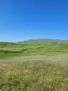 Гостевой дом у Амины - 17