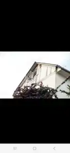 Ева - 1