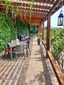Кактус - 15
