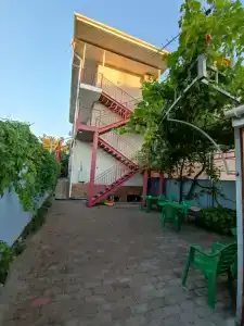 Морская звезда - 1