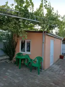 Морская звезда - 3