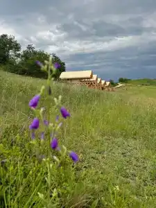 Глэмпинг Caspian - 4