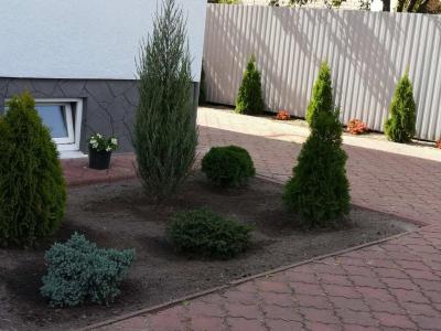 Березовка - 47