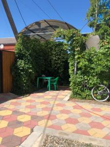 Светлана на Вишневом - 22