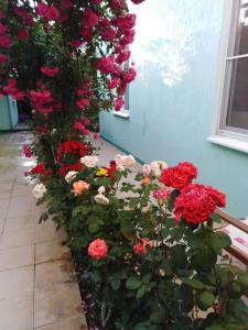 В Долине Роз - 38