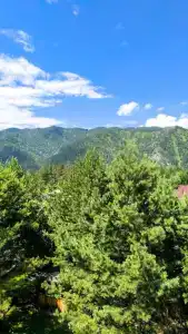 Горы и Сосны - 5