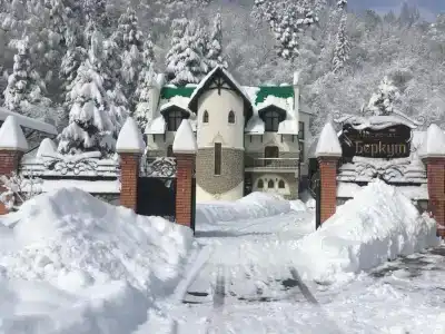 Беркут - 1