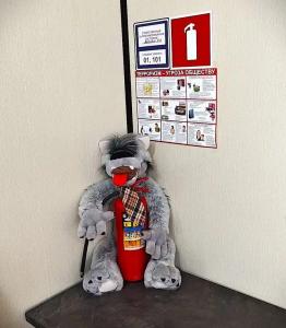 Гостевой дом на Красина, 38 - 61